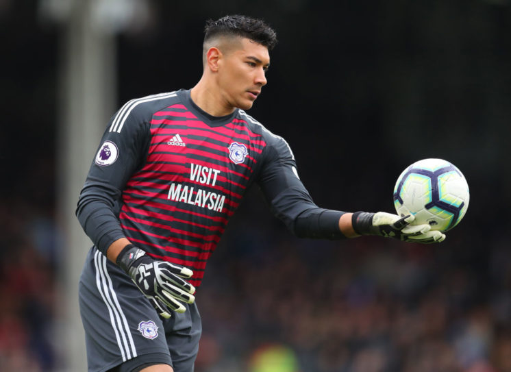 Fulham FC v Cardiff City - Premier League Catherine Ivill/Getty Images Sport