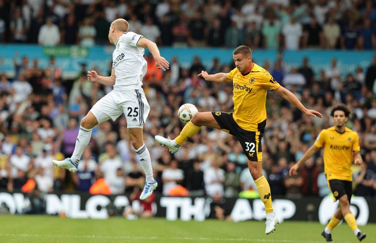 Leander Dendoncker in action for Wolves